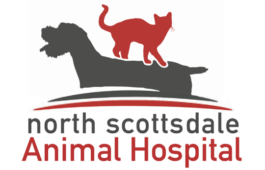 North Sctsdl Animal Hospital 2026 Logo 540x347
